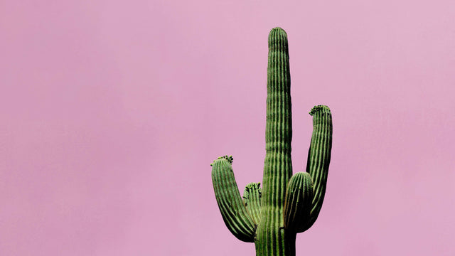What Men Need To Know About Dry Orgasms